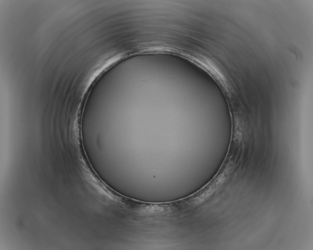 X0000115120806200911101625