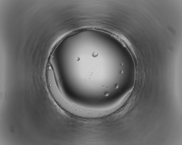 X0000115120807200911101625
