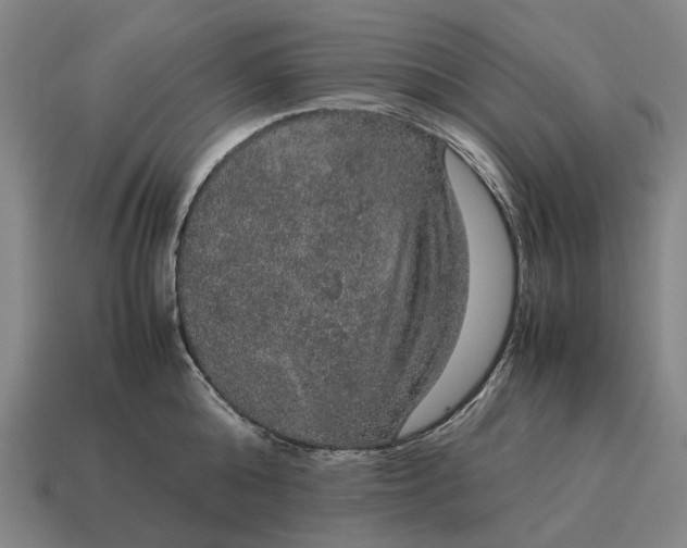 X0000115120808200911101625