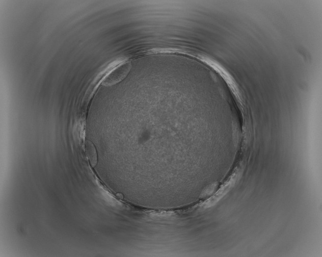 X0000115120809200911101625