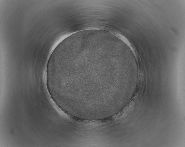X0000115120811200911101625