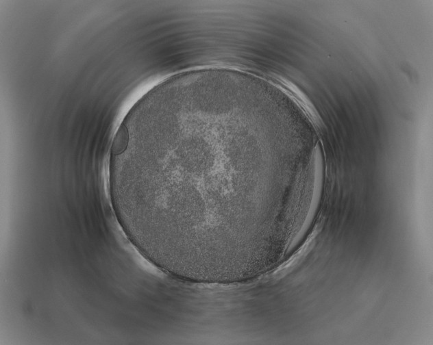 X0000115120812200911101625
