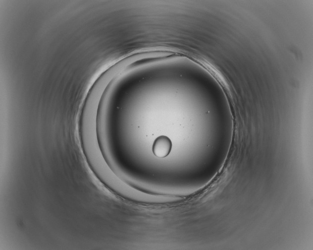 X0000115120813200911101625