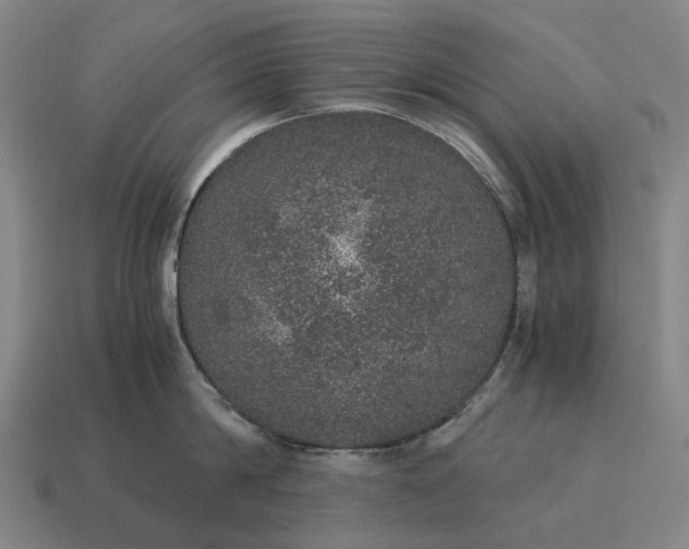 X0000115120814200911101625