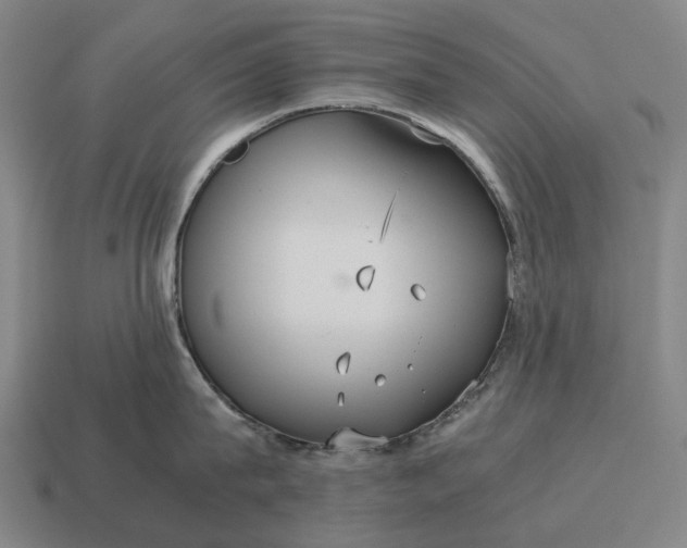 X0000115120815200911101625
