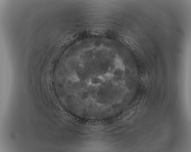 X0000115120817200911101624