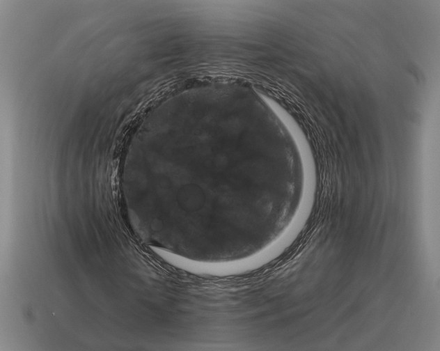 X0000115120818200911101624
