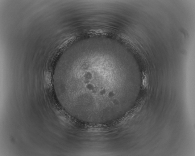 X0000115120819200911101624