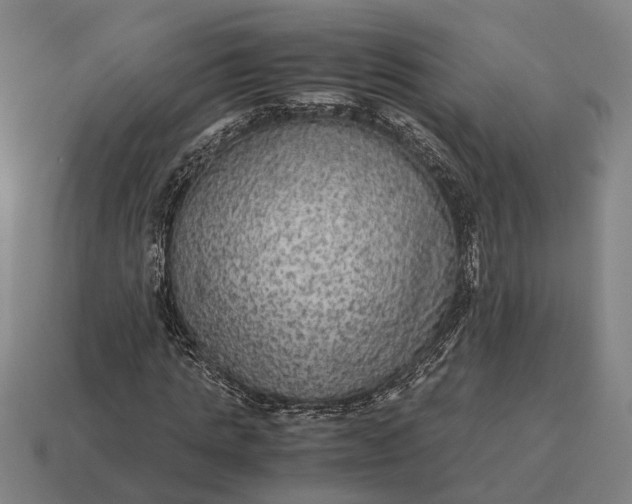 X0000115120821200911101624