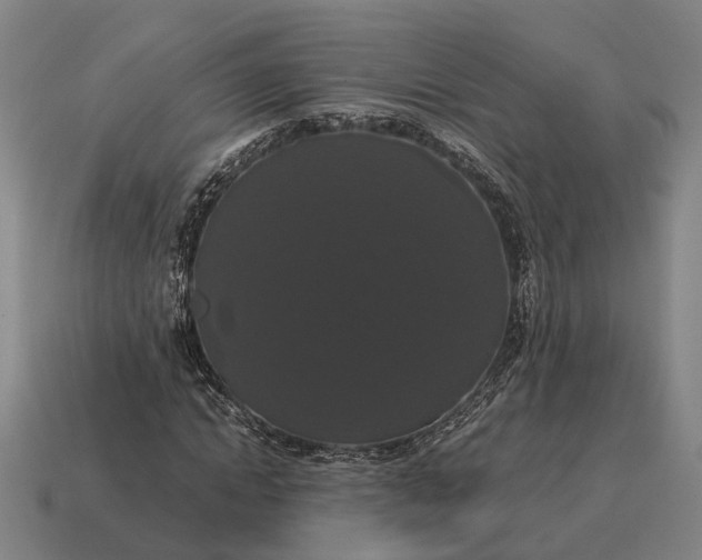X0000115120822200911101624