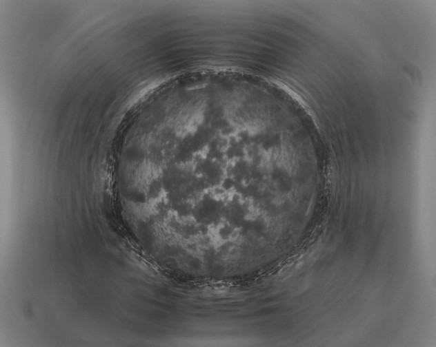 X0000115120823200911101624