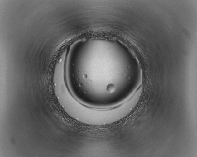 X0000115120824200911101624