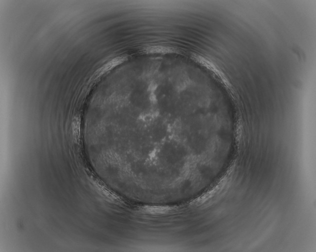 X0000115120825200911101625