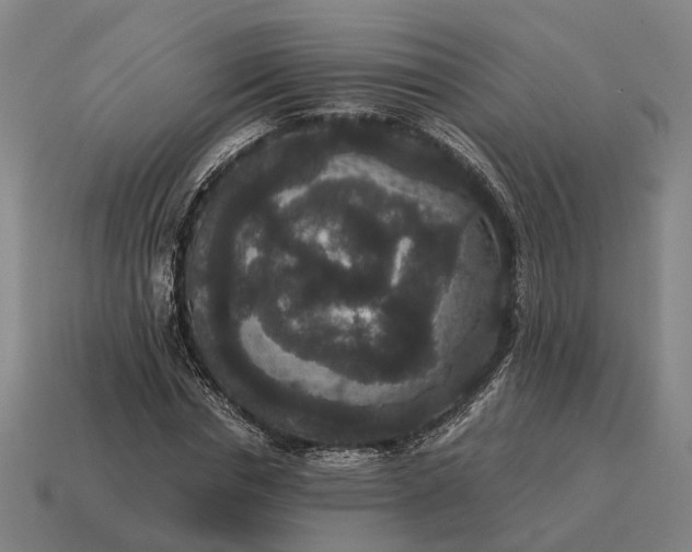 X0000115120826200911101625
