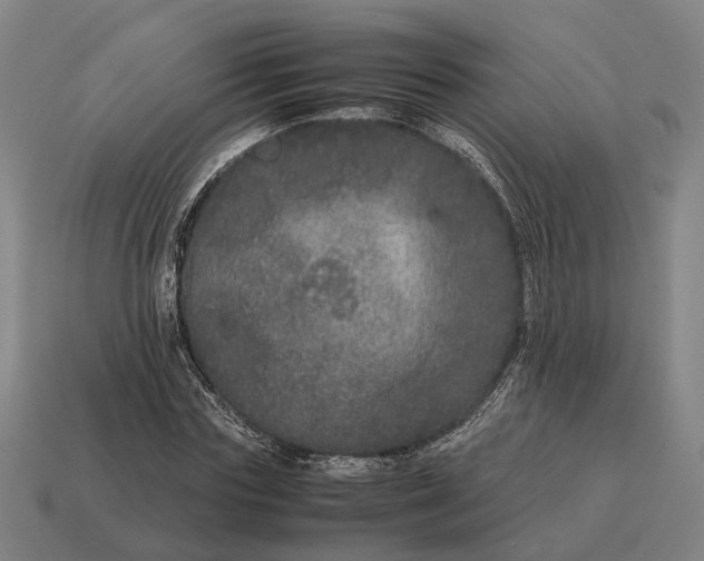 X0000115120827200911101625