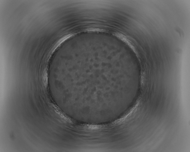 X0000115120829200911101625