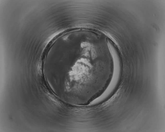 X0000115120830200911101625