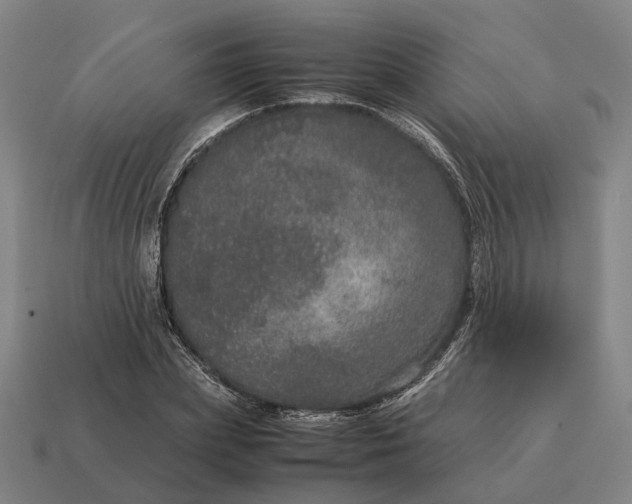 X0000115120831200911101625