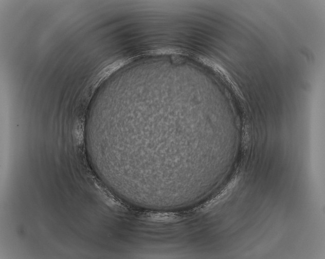 X0000115120833200911101625
