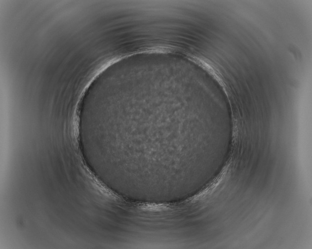 X0000115120835200911101625