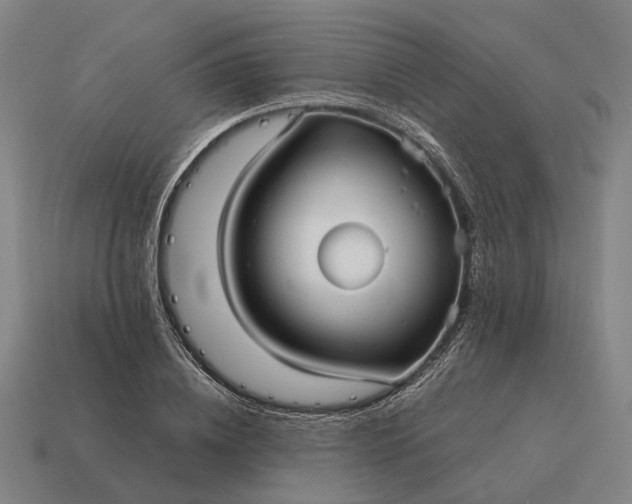 X0000115120836200911101625