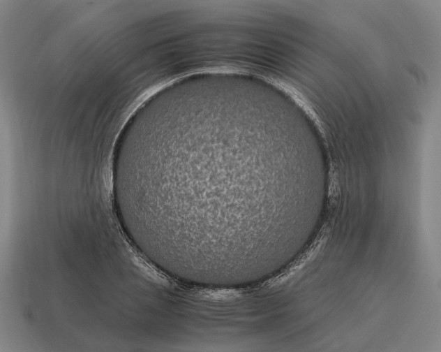 X0000115120837200911101625