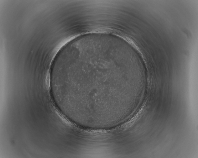 X0000115120838200911101625