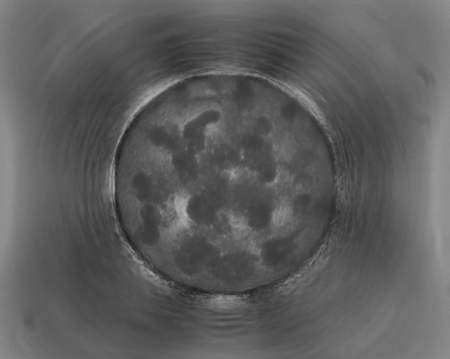 X0000115120839200911101625