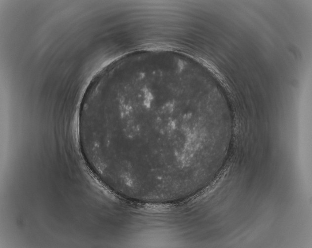 X0000115120840200911101625