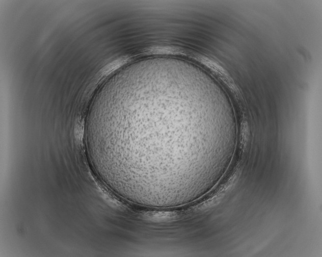 X0000115120841200911101625