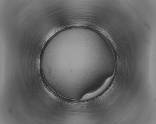 X0000115120842200911101625