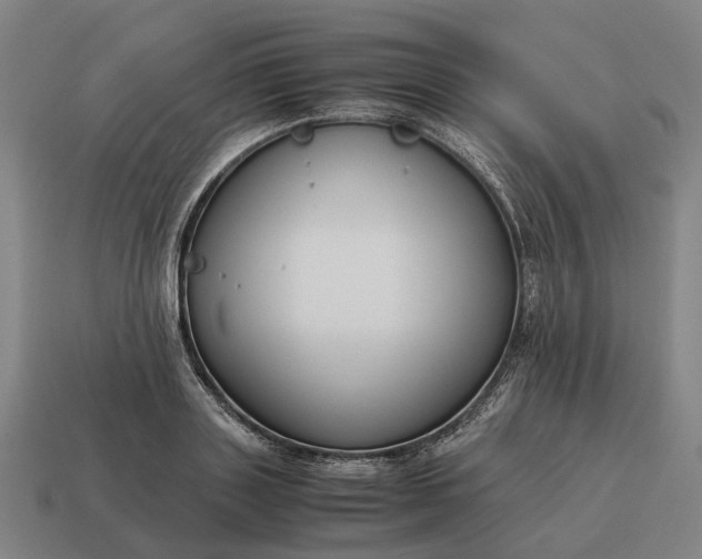 X0000115120843200911101625