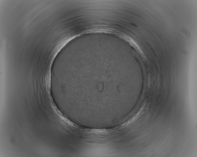 X0000115120844200911101625