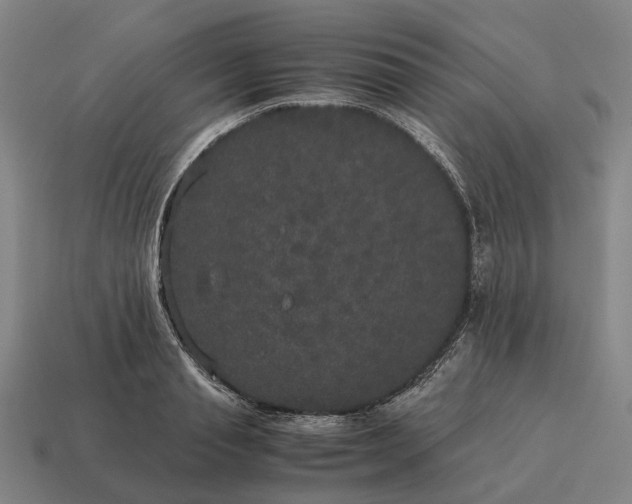 X0000115120845200911101625