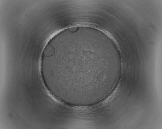 X0000115120846200911101625