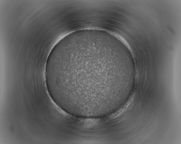 X0000115120847200911101625