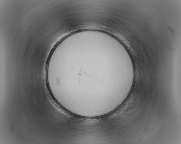 X0000115120848200911101625