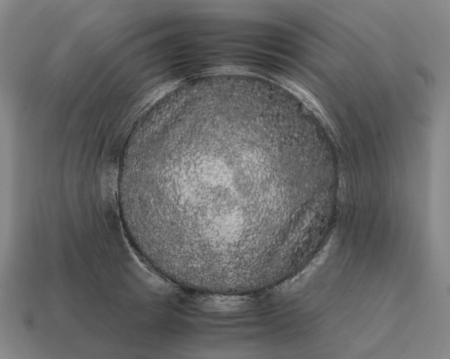 X0000115120849200911101625