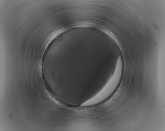 X0000115120850200911101625