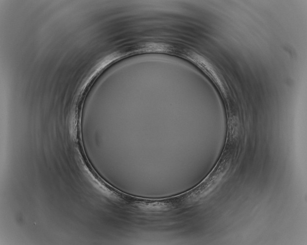 X0000115120851200911101625