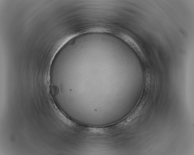 X0000115120852200911101625