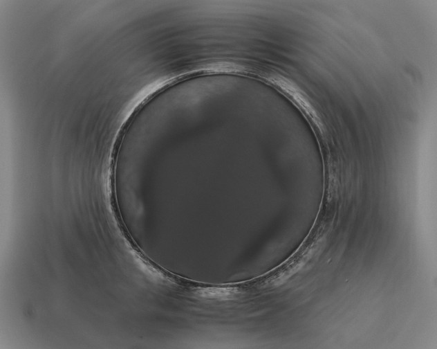 X0000115120853200911101625