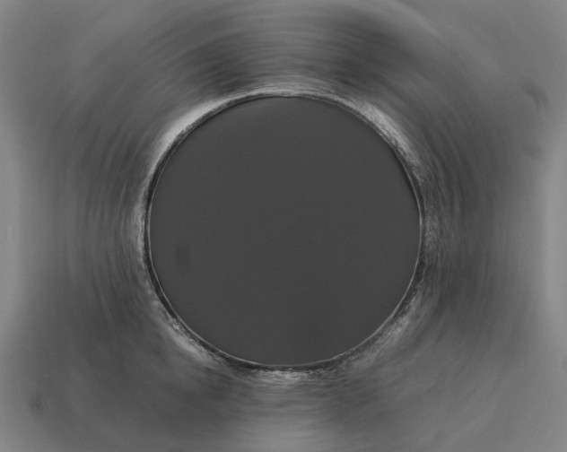 X0000115120854200911101625