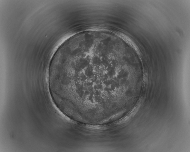 X0000115120855200911101625
