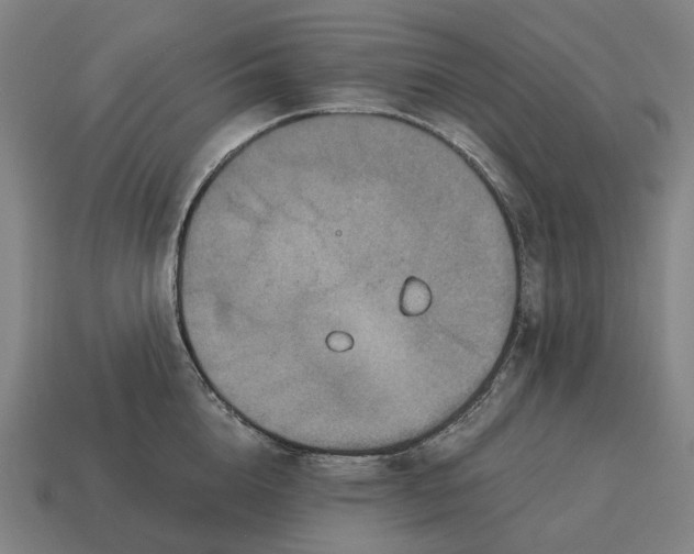 X0000115120856200911101625