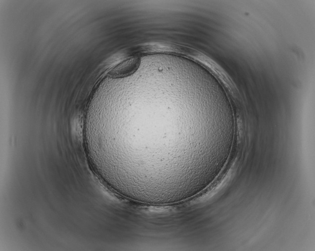 X0000115120857200911101625