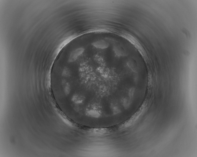 X0000115120858200911101625