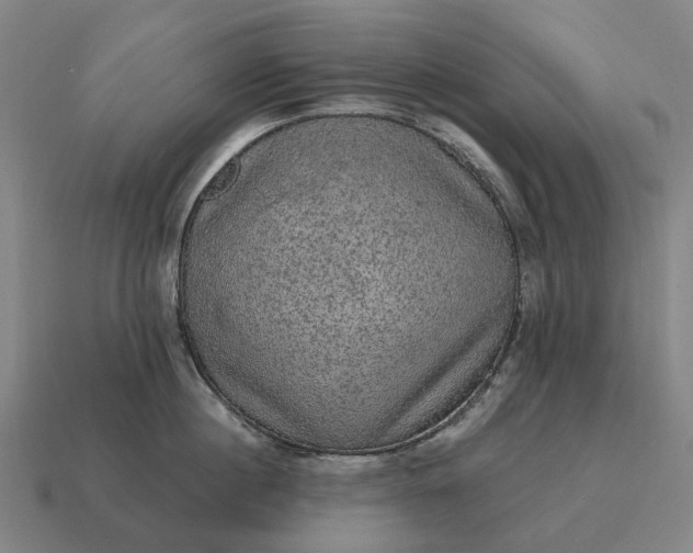 X0000115120860200911101625