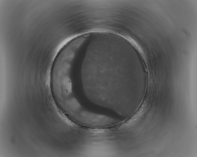X0000115120862200911101625