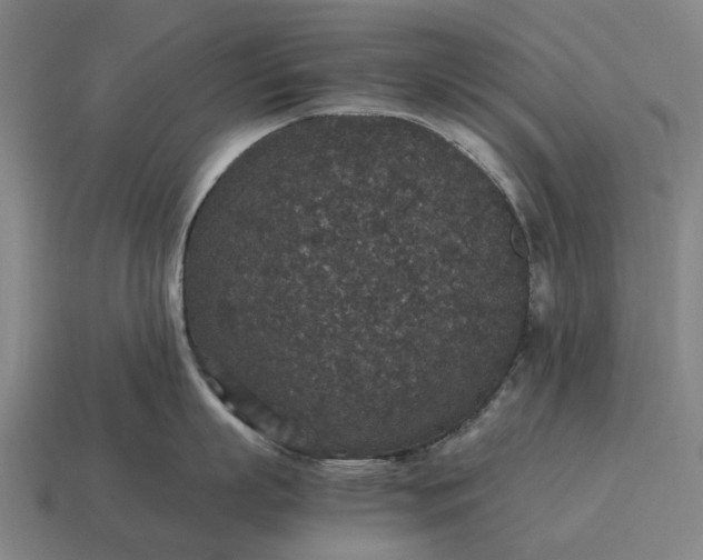 X0000115120863200911101625